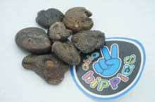 Load image into Gallery viewer, Unique Raw Ammonite Fossils - ohiohippiessmokeshop.com