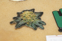 Load image into Gallery viewer, Metal Pins - Caliculturesmokeshop.com