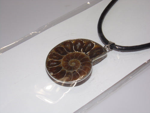 Fossil Necklace