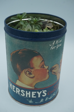 Load image into Gallery viewer, Tall Retro Hershey&#39;s Tin Can Succulent Pot - CaliCulturesmokeshop.com
