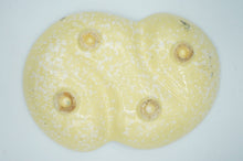 Load image into Gallery viewer, Vintage Yellow Ceramic Yellow Plate - ohiohippiessmokeshop.com

