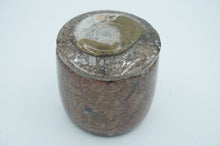 Load image into Gallery viewer, Ammonite Fossil Containers - ohiohippiessmokeshop.com
