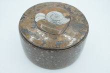 Load image into Gallery viewer, Ammonite Fossil Containers - ohiohippiessmokeshop.com
