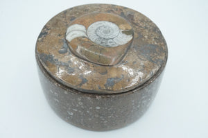 Ammonite Fossil Containers - ohiohippiessmokeshop.com