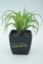 Load image into Gallery viewer, Plastic Potted Succulent - ohiohippiessmokeshop.com
