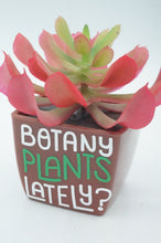 Load image into Gallery viewer, Plastic Potted Succulent - ohiohippiessmokeshop.com
