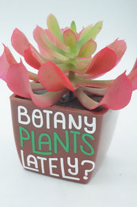 Plastic Potted Succulent - ohiohippiessmokeshop.com