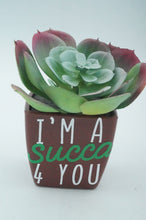 Load image into Gallery viewer, Plastic Potted Succulent - ohiohippiessmokeshop.com
