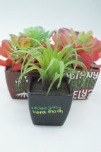 Load image into Gallery viewer, Plastic Potted Succulent - ohiohippiessmokeshop.com
