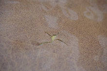 Load image into Gallery viewer, Vintage Cassette Holder- ohiohippies.com
