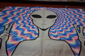 tapestries- ohiohippies.com