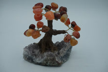 Load image into Gallery viewer, Small/Large Gemstone Tree&#39;s - Caliculturesmkeshop.com
