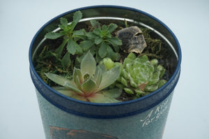 Tall Retro Hershey's Tin Can Succulent Pot - CaliCulturesmokeshop.com