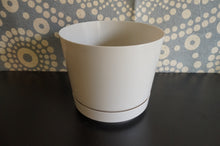 Load image into Gallery viewer, Small Colorful Pots - Caliculturesmokeshop.com
