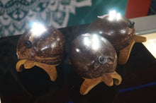 Load image into Gallery viewer, Coco Collection Turtle Lamps - ohiohippiessmokeshop.com
