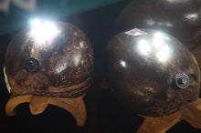 Load image into Gallery viewer, Coco Collection Turtle Lamps - ohiohippiessmokeshop.com
